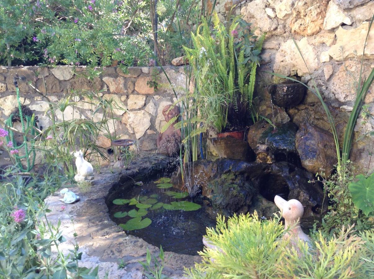 Olive House Traditional Villa With Pool Sitia  Exterior photo